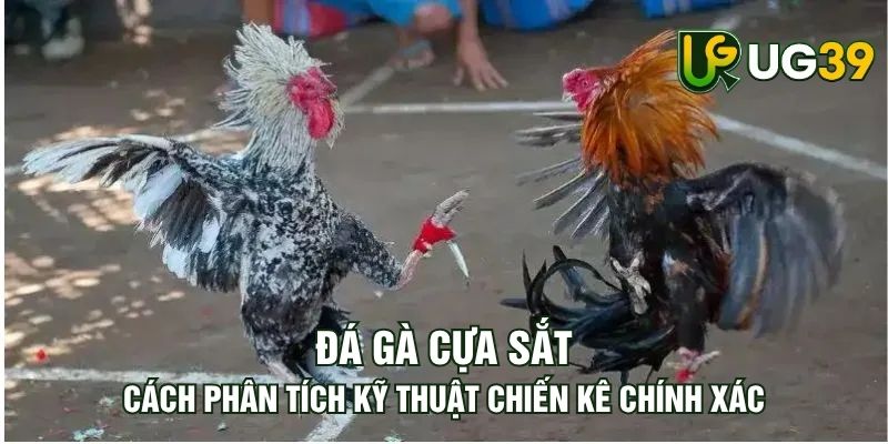 Tin tức