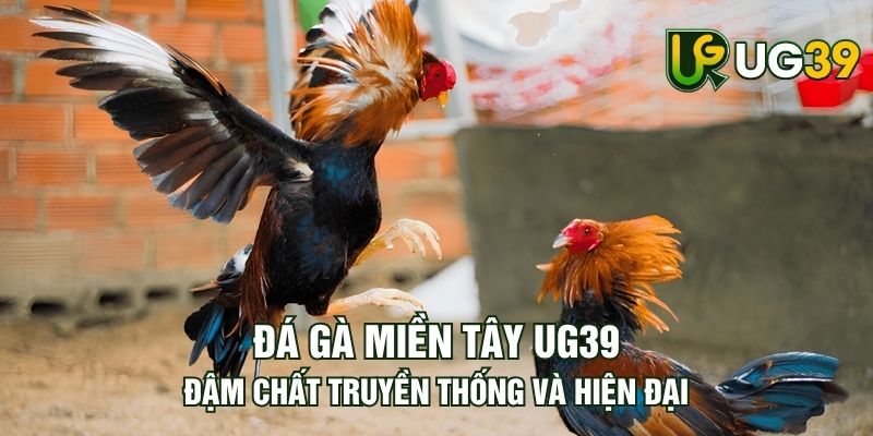 Tin tức