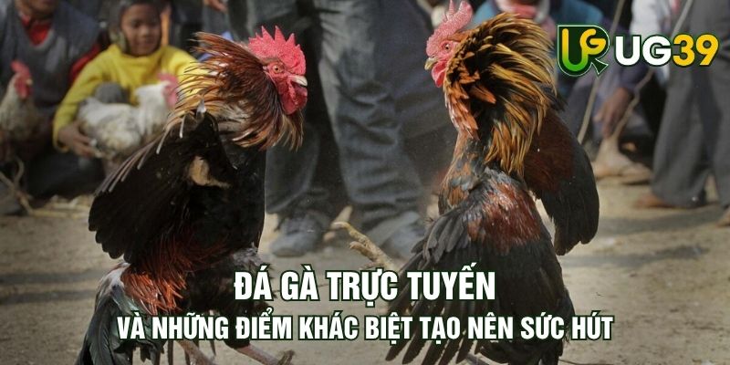 Tin tức