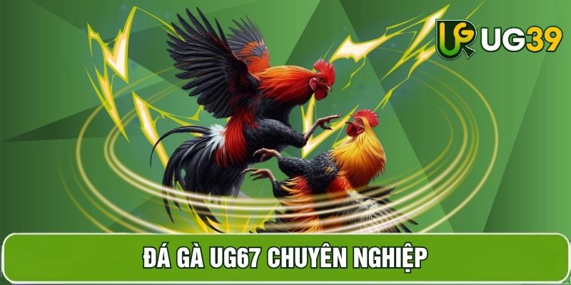 Hình ảnh sản phẩm đá gà