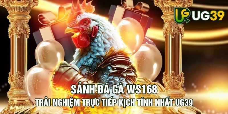 Tin tức