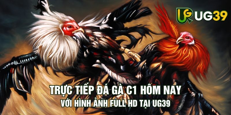 Tin tức